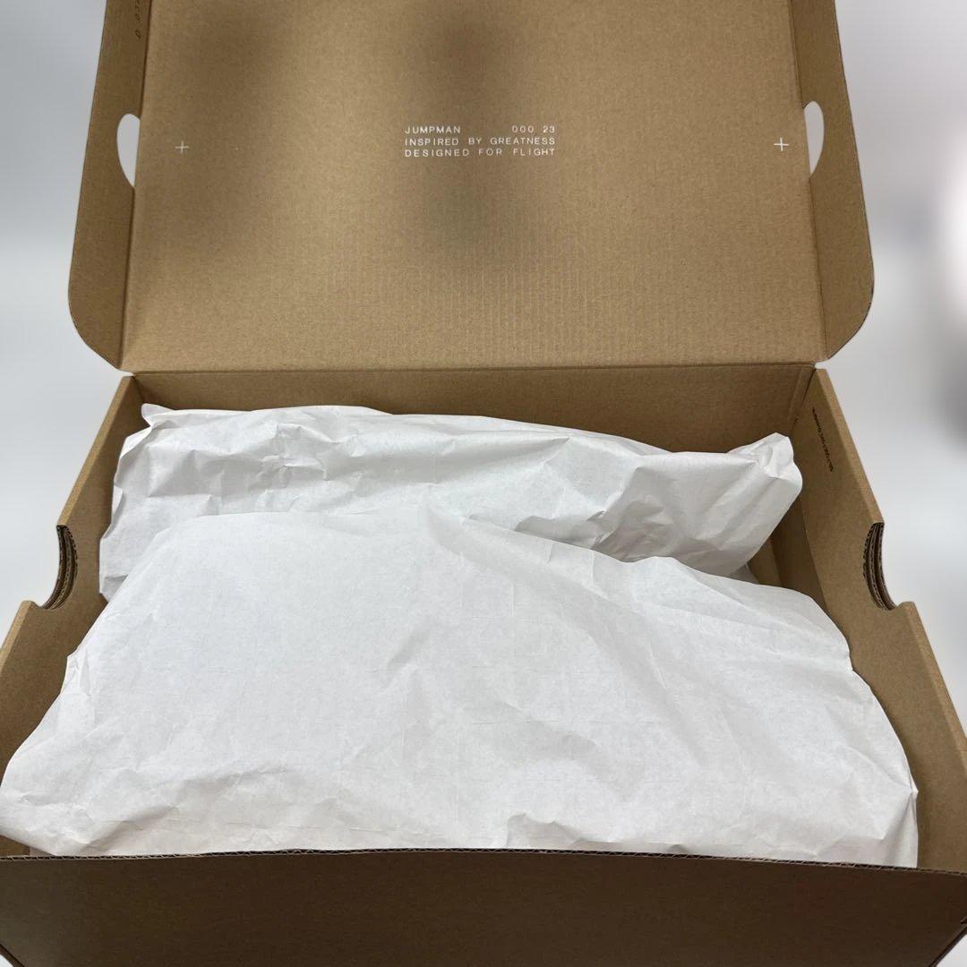 NIKE エアージョーダン 29センチ　未使用