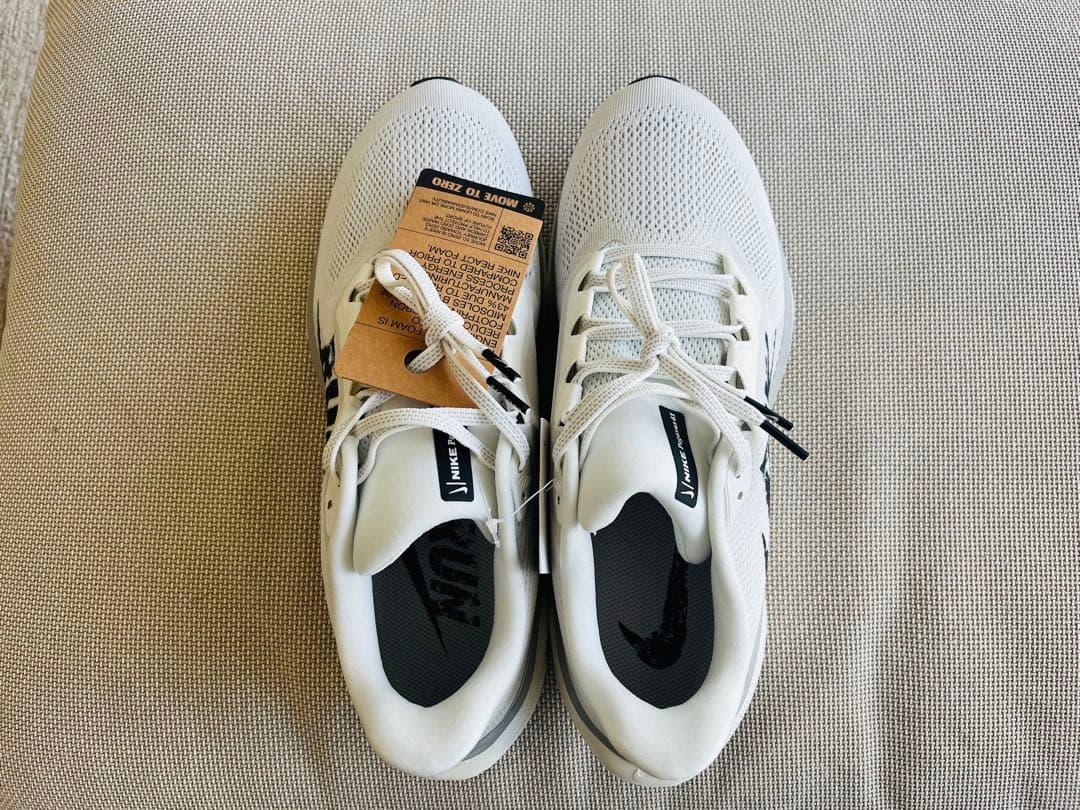 Nike ズームペガサス41【限定カラー】 27.5cm