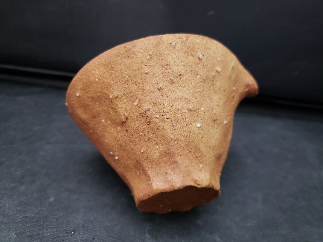 信楽焼　煎茶器　神崎紫峰　手捻り　急須　湯呑み5客　湯冷まし　煎茶道具　作家物