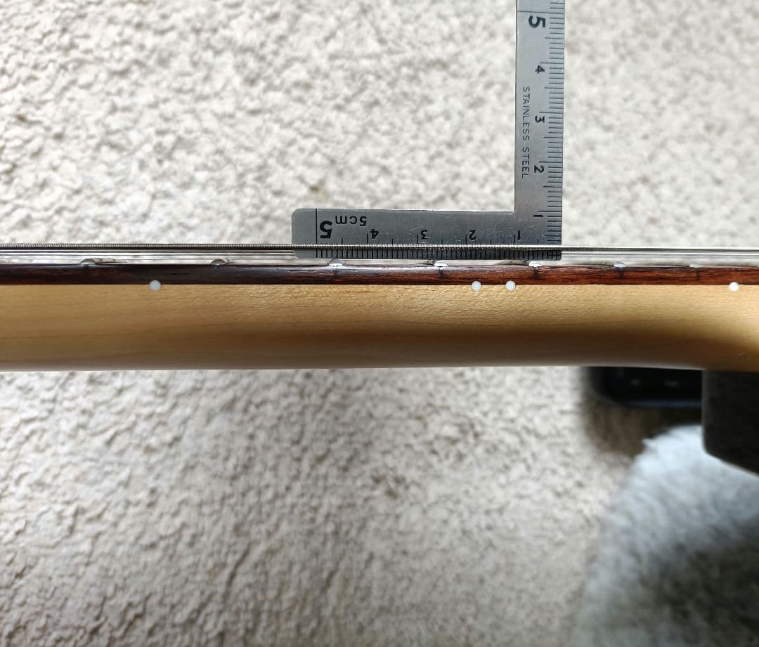 FGN J-STANDARD リアハム ストラトキャスター 日本製 美品 富士弦