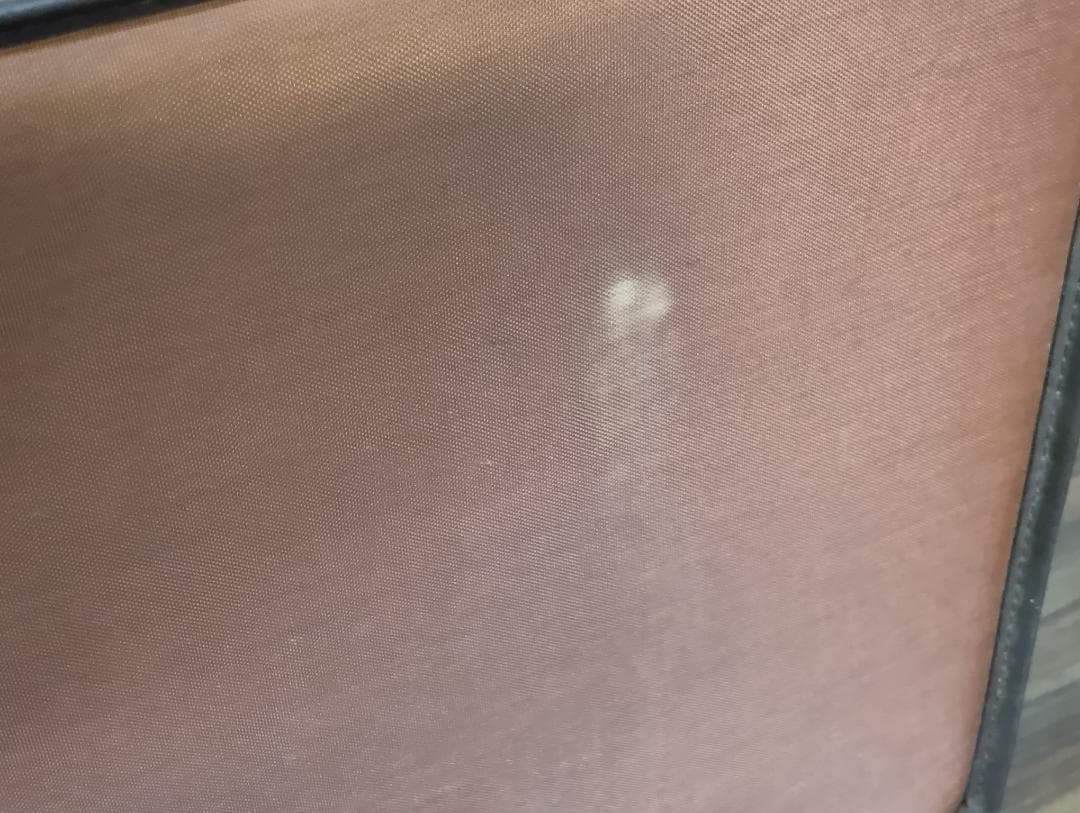 ゼンオン　文化箏 　文化琴　ケース付き