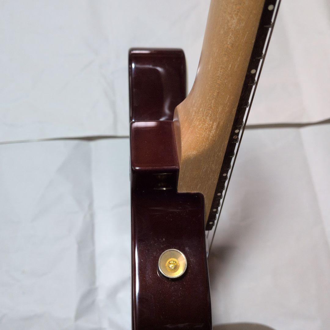 エピフォン風マインドバードスタイル-エレキマンドリン!!!