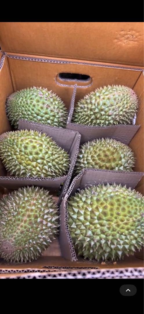 タイ産新鮮ドリアン一箱4個