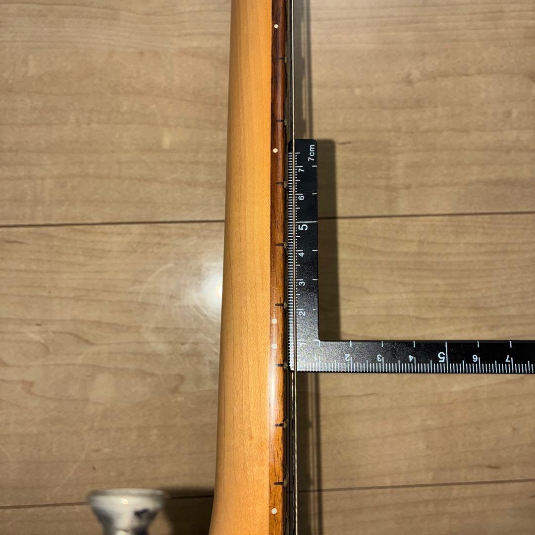 超希少　History(フジゲン) ZGF CFS 富士弦製　日本製