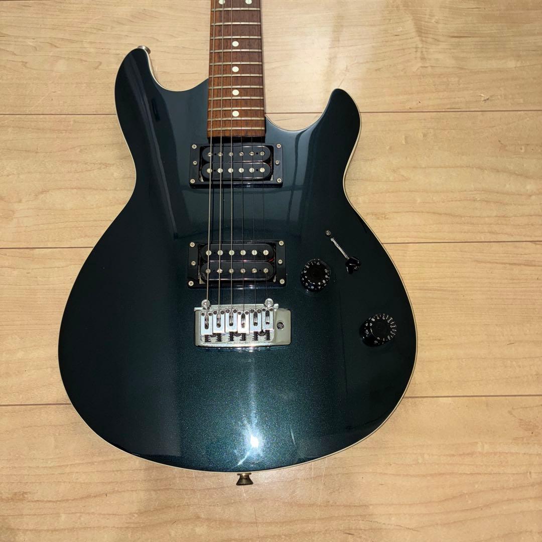 超希少　History(フジゲン) ZGF CFS 富士弦製　日本製