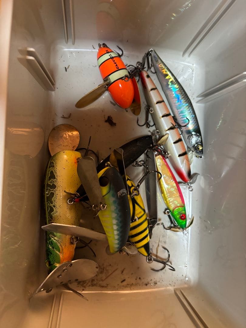 バス釣り/引退品