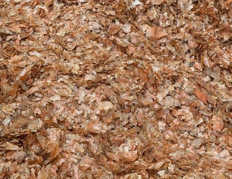 玉ねぎ皮　100㌔　特価　15万円