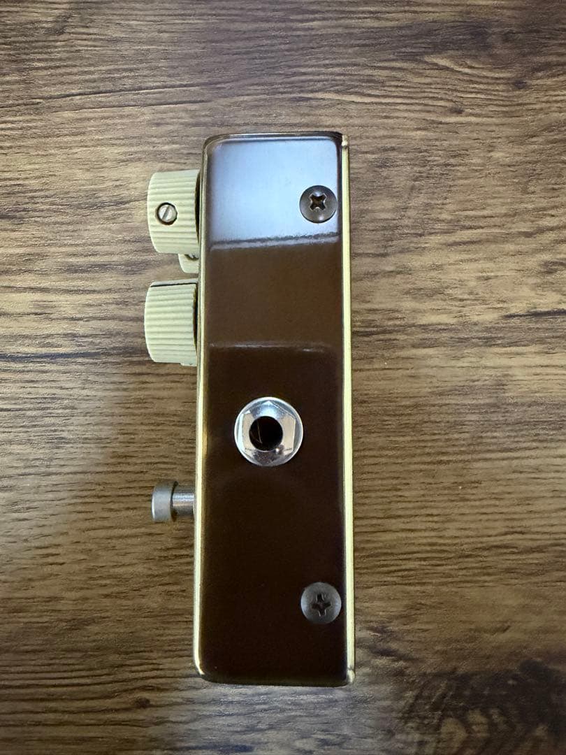 【美品】Vemuram Jan Ray