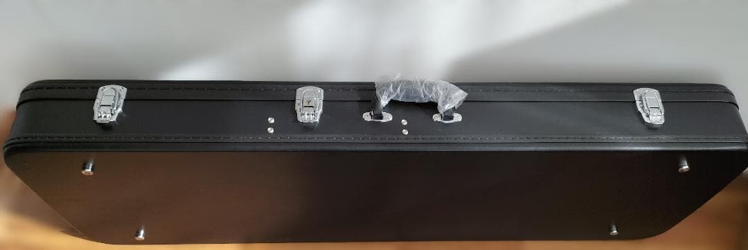 a5115 新品epiphone Firebird【専用ハードケース付属】