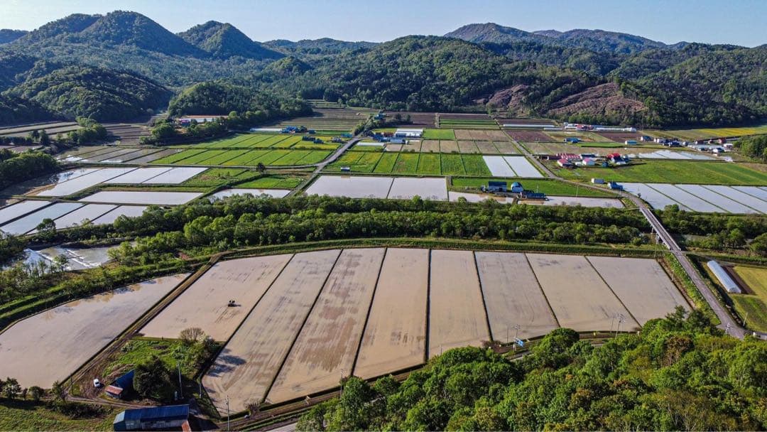 miyukikiさま専用ページ【玄米5キロ白米5キロ】