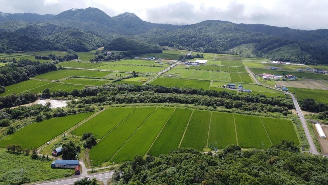 miyukikiさま専用ページ【玄米5キロ白米5キロ】