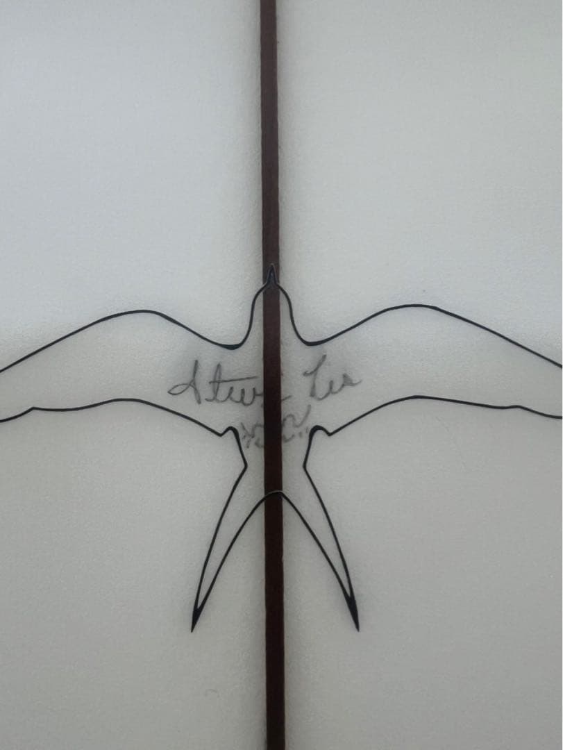 Steve Lis Classic Fish 5‘10 スティーブリズデザイン