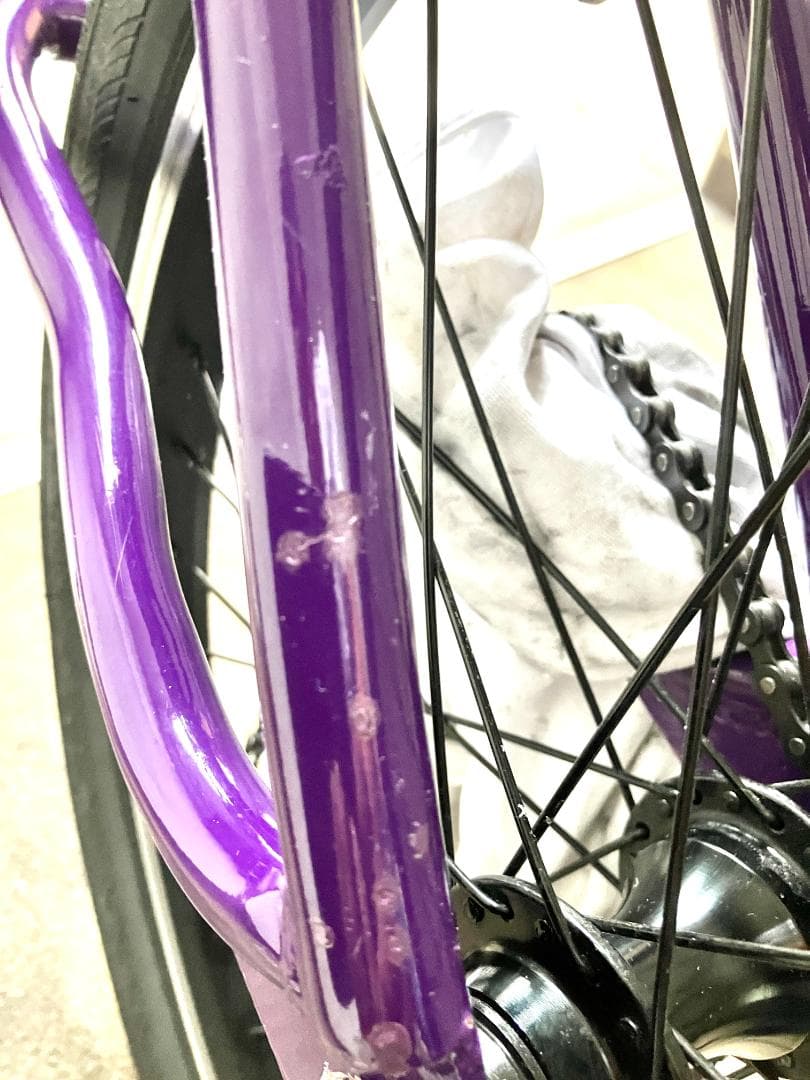 Hoffman BMX Bikes『condor』30th