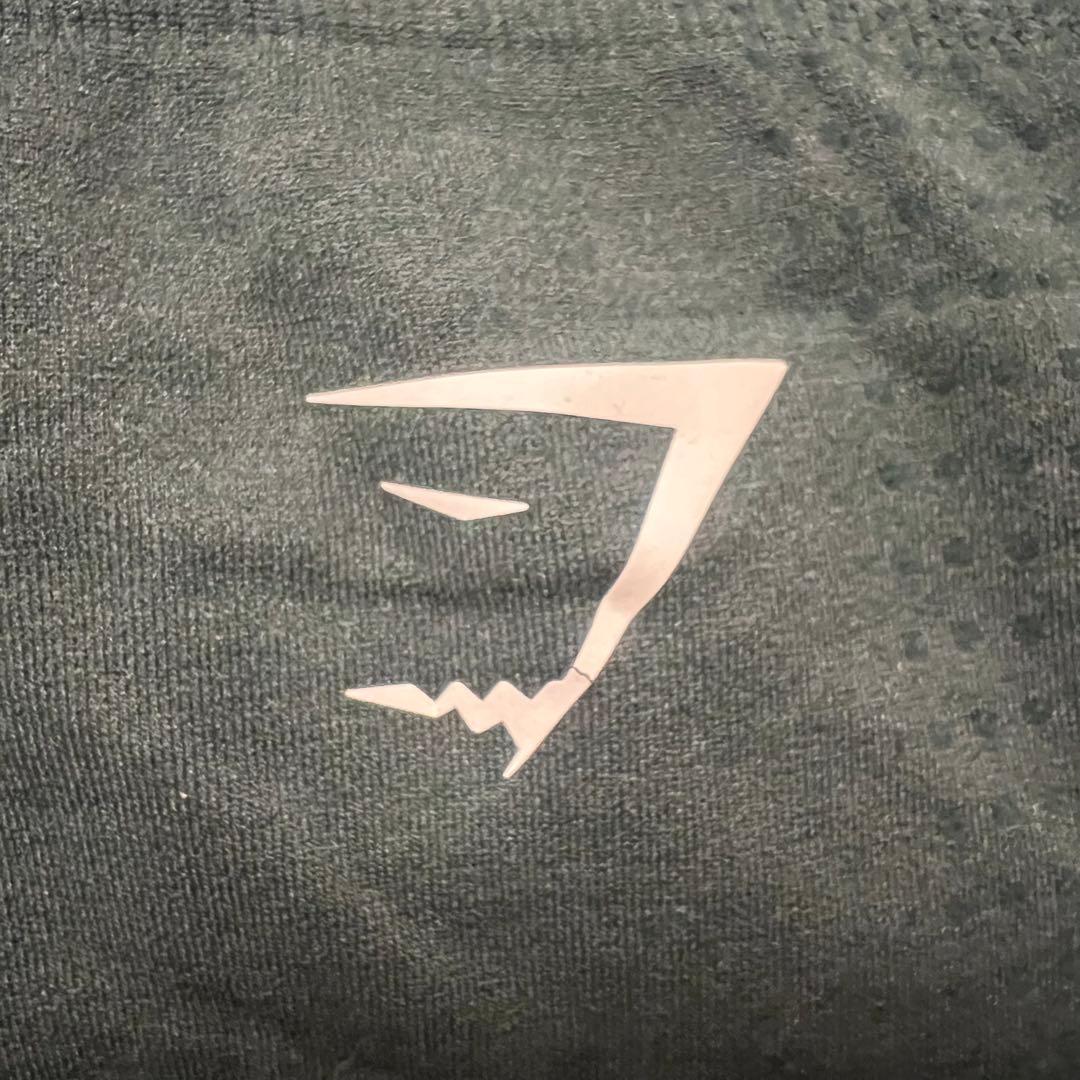 【モル様2枚セット】 Vital シームレス レギンス　M