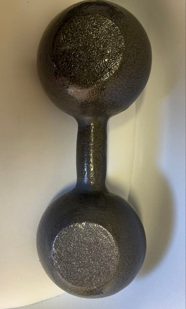 アイロテック製　鉄アレイ20kg