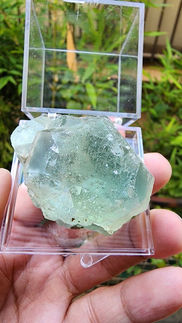 ボトリオイドグレーンフローライト (shangbao)