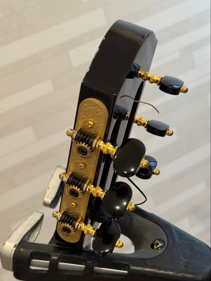 ギター aNueNue/aNN-LN77E