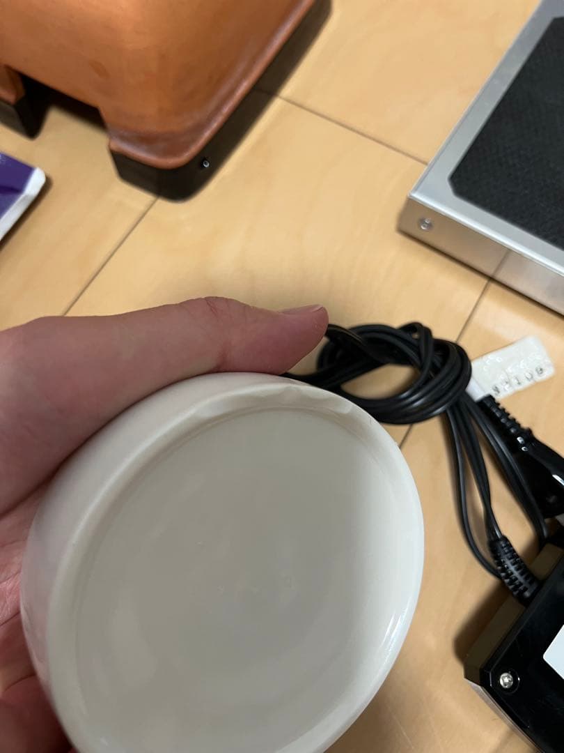 爬虫類　レオパ 飼育セット