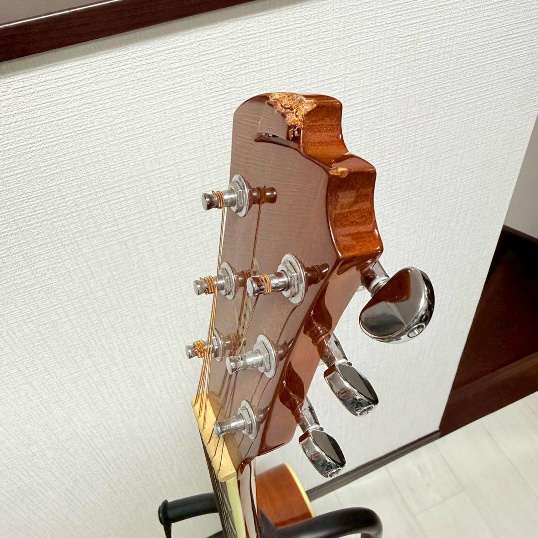 エレアコ アコースティックギター James JE450 ジェームス