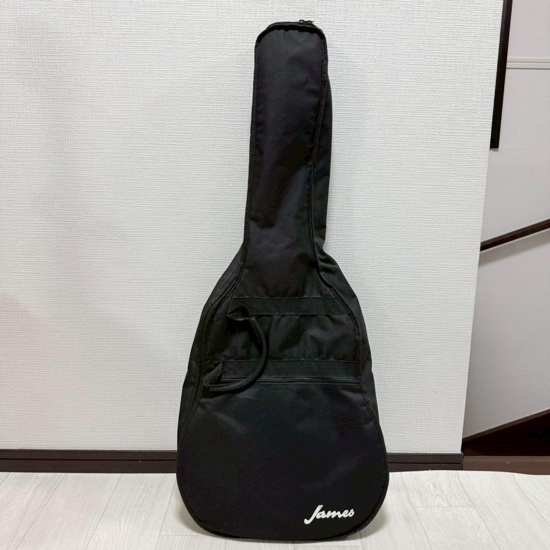 エレアコ アコースティックギター James JE450 ジェームス