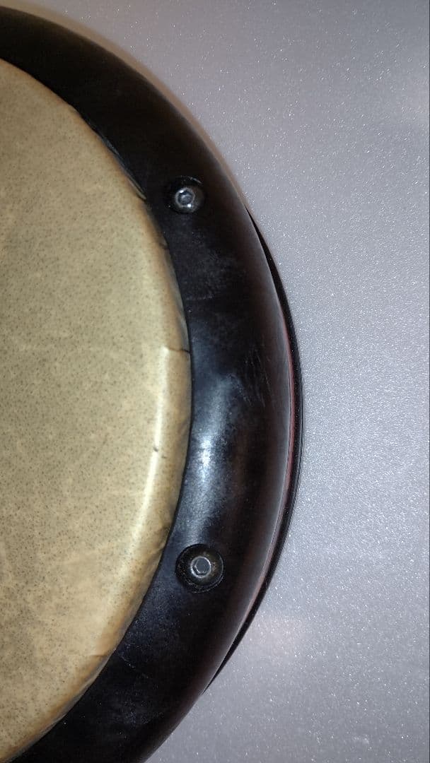 REMO コンガ トゥバニート (生産終了品) 工具 純正 ミュート 付き