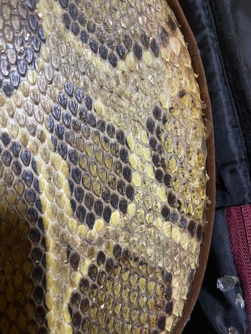 三線 本蛇皮 蛇革 沖縄 楽器【楽譜付き】