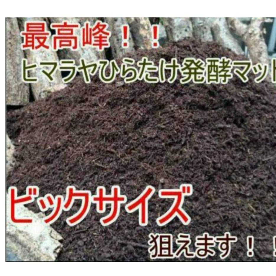 カブトムシ幼虫の餌、産卵にはコレです！改良版！発酵マット50L☆大きくなります！
