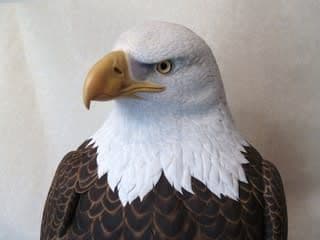 バードカービング　ハクトウワシ（リアルサイズ）