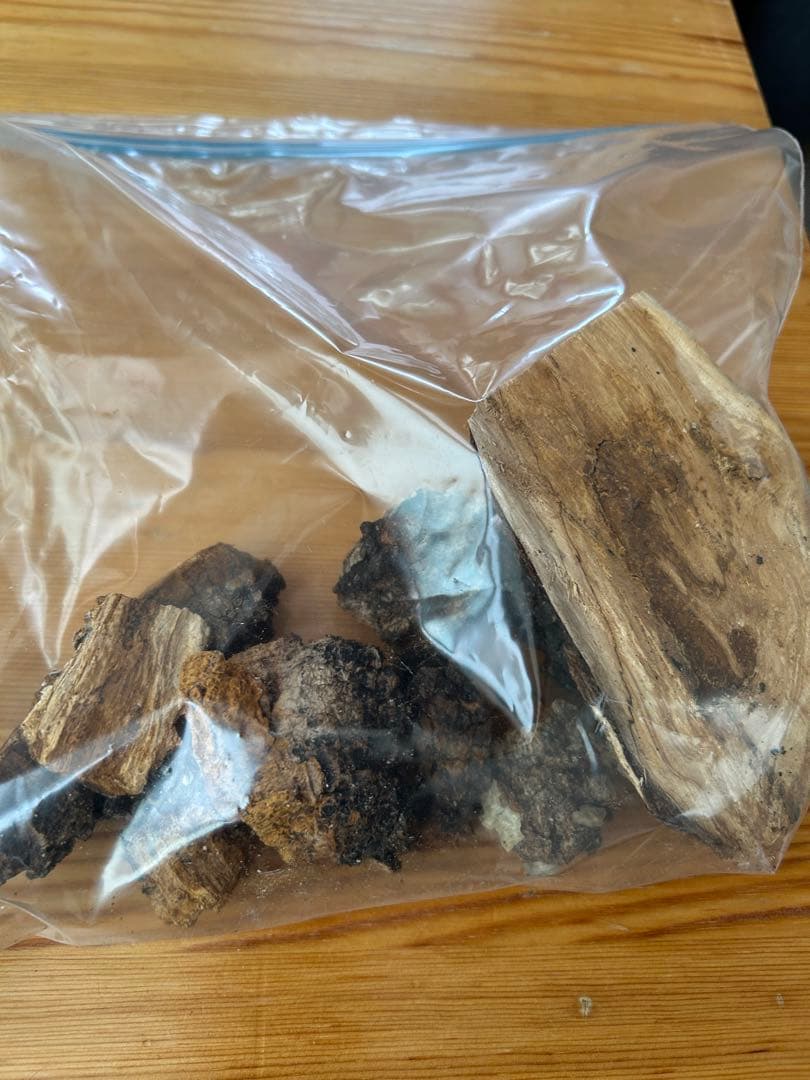 カバノアナタケ　北海道　道東産　1.5k