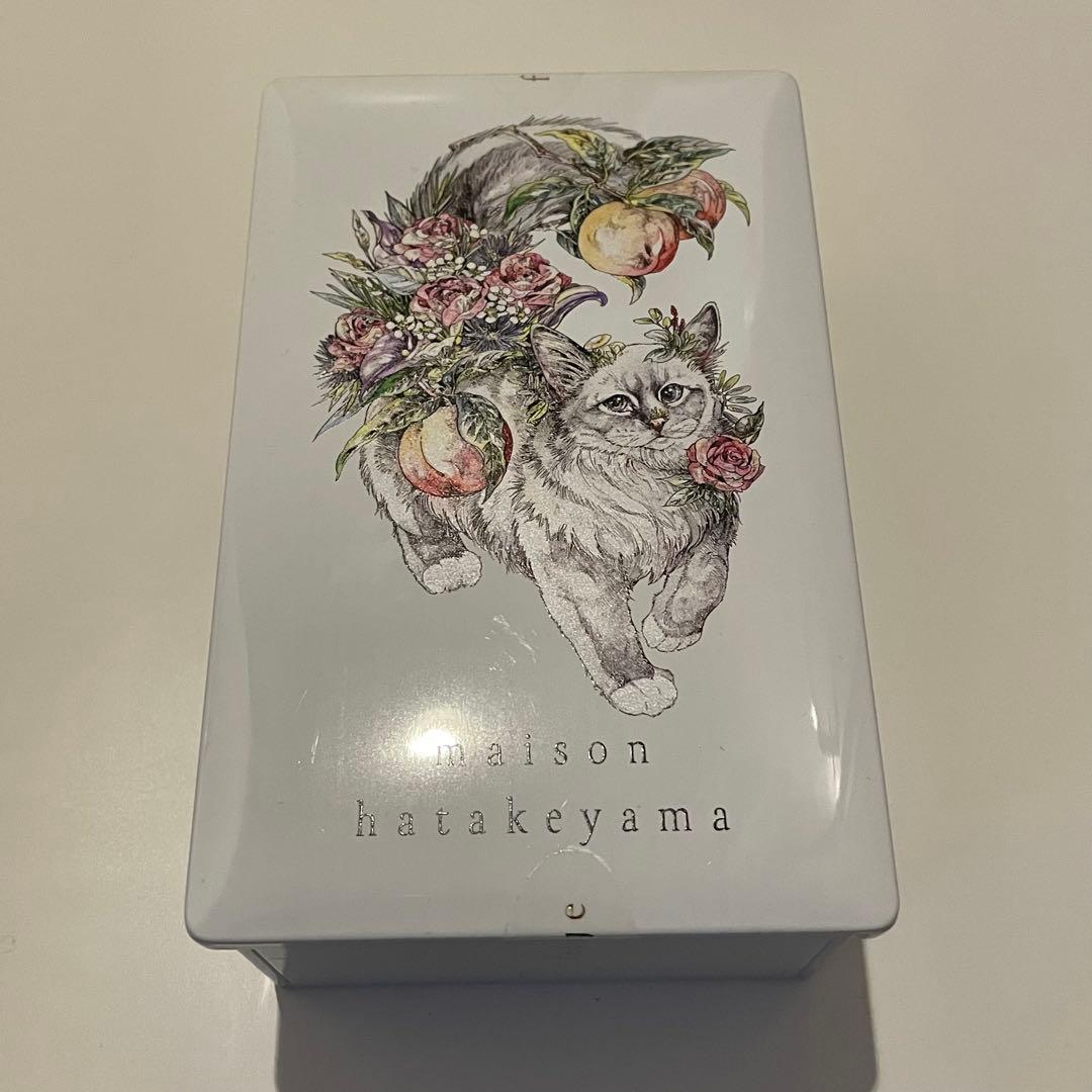 メゾンハタケヤマ　サブレメゾン　メゾンショコラ　サロショ　田中みな実　さっしー