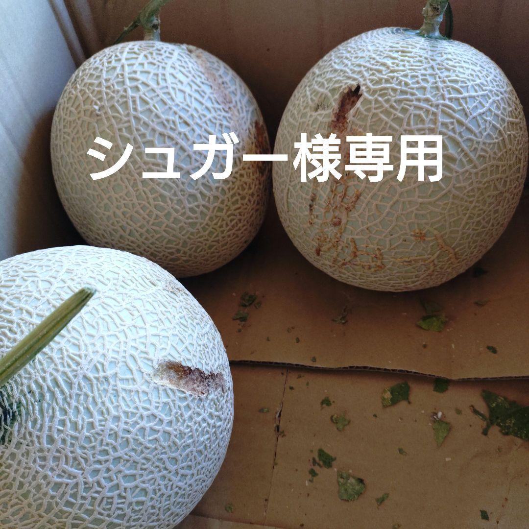 訳ありメロン 3個セット