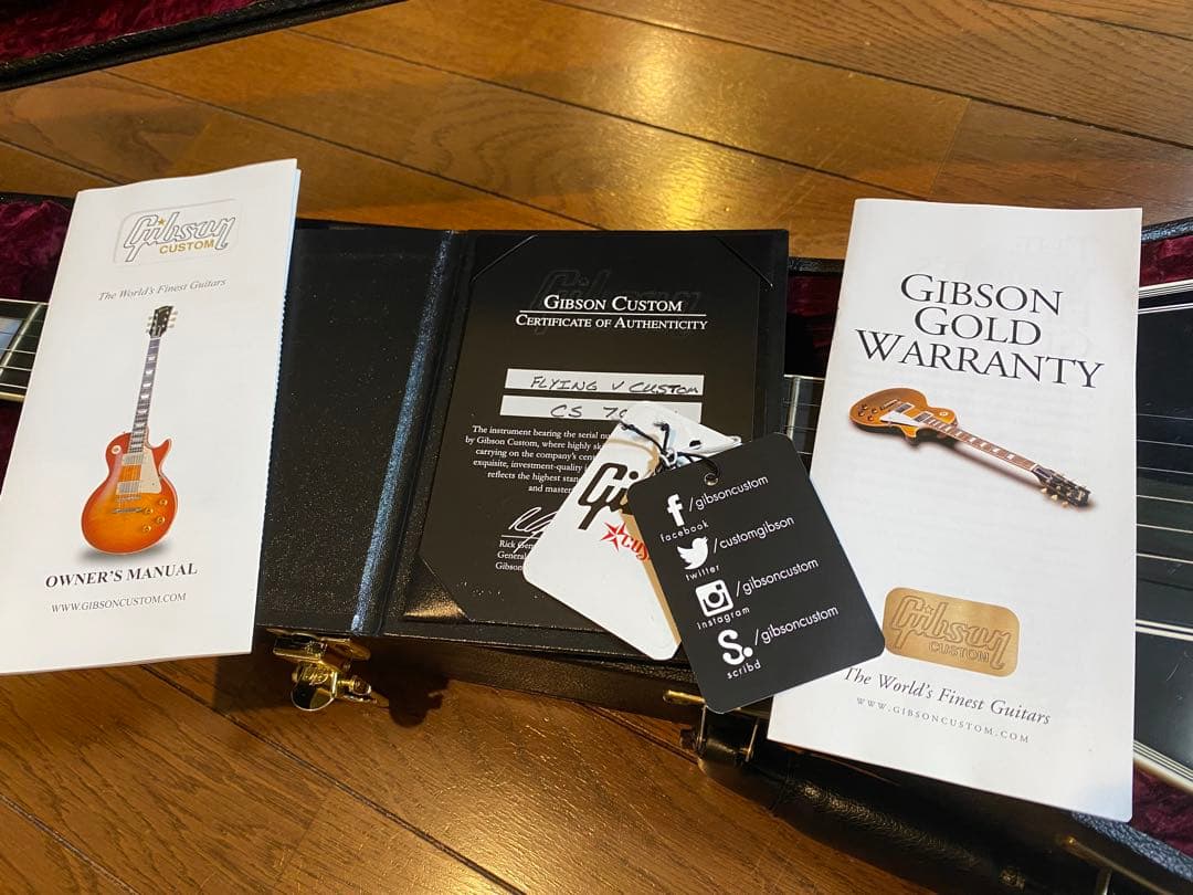 ギター Gibson Flying V Custom