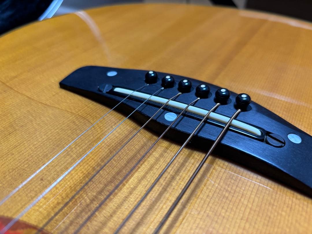 YAMAHA CPX-10 エレアコ