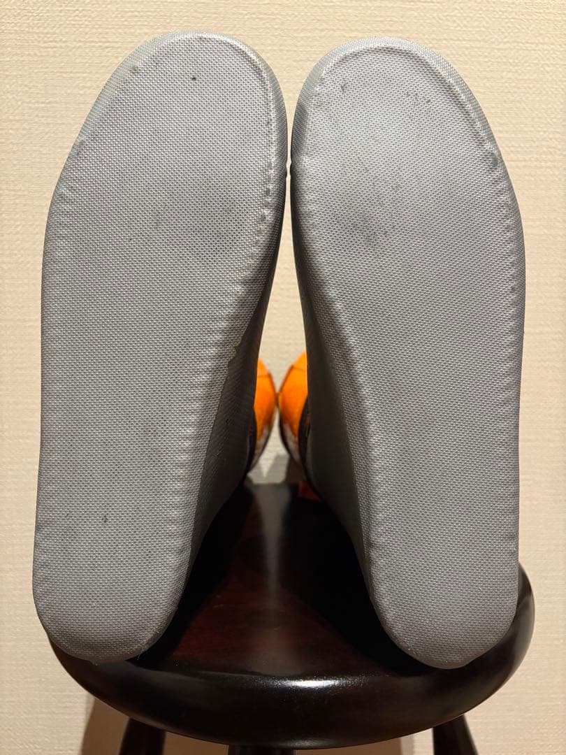 スキーブーツ　兼用靴　テクニカ コーチス 100 26/26.5cm