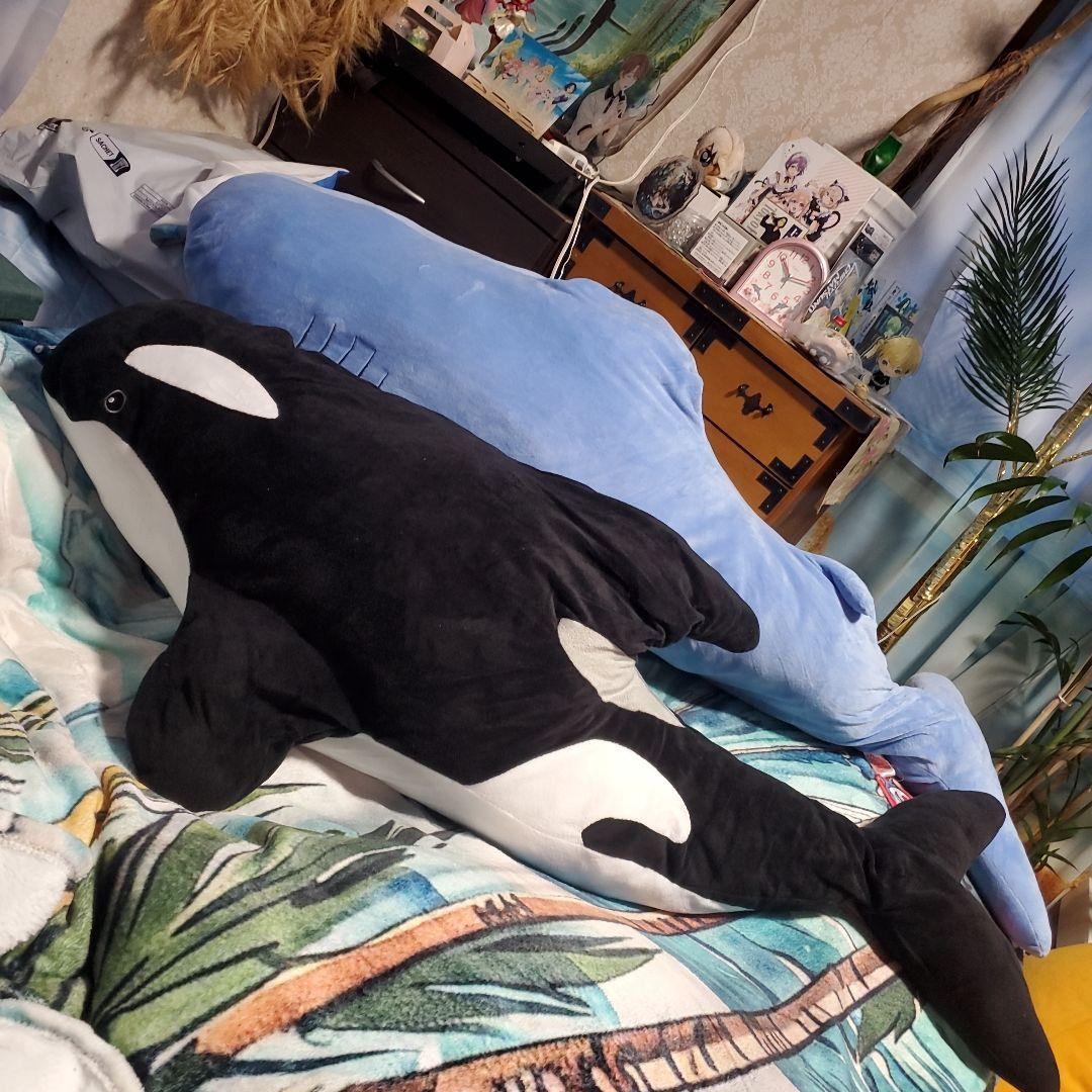 S賞サメとA賞シャチのぬいぐるみセット