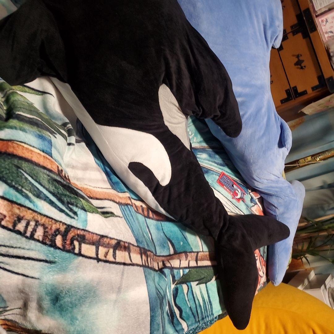 S賞サメとA賞シャチのぬいぐるみセット