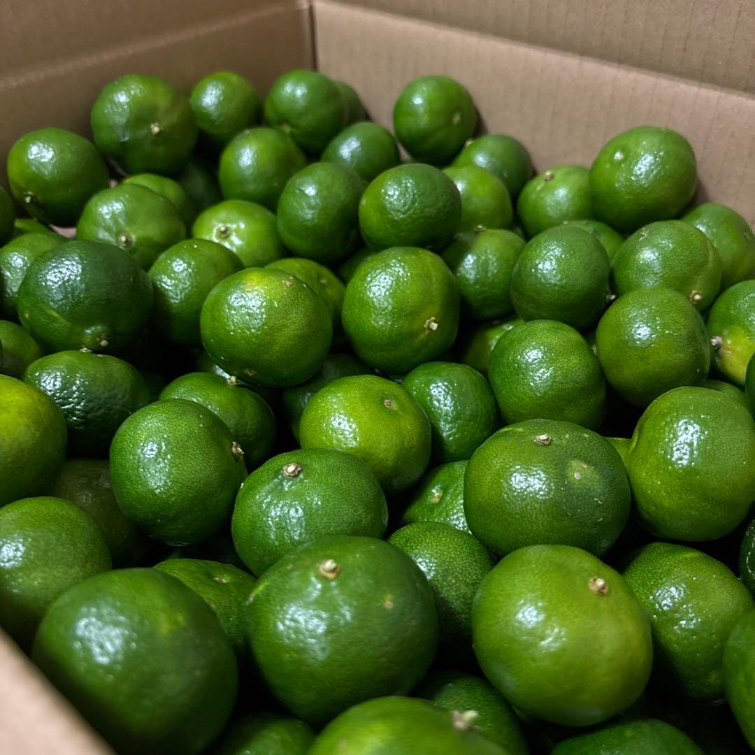 みったん　大粒シークヮーサー　農薬不使用