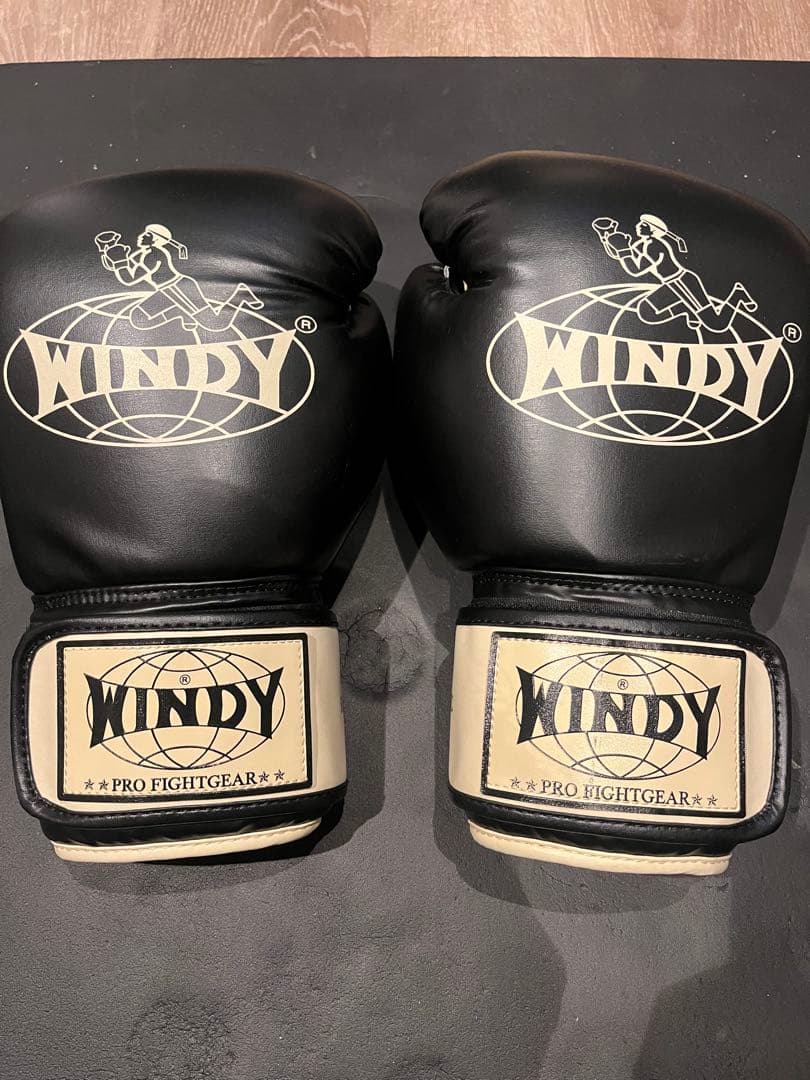 WINDY プロファイトギア & GLOBAL SPORTS グローブセット