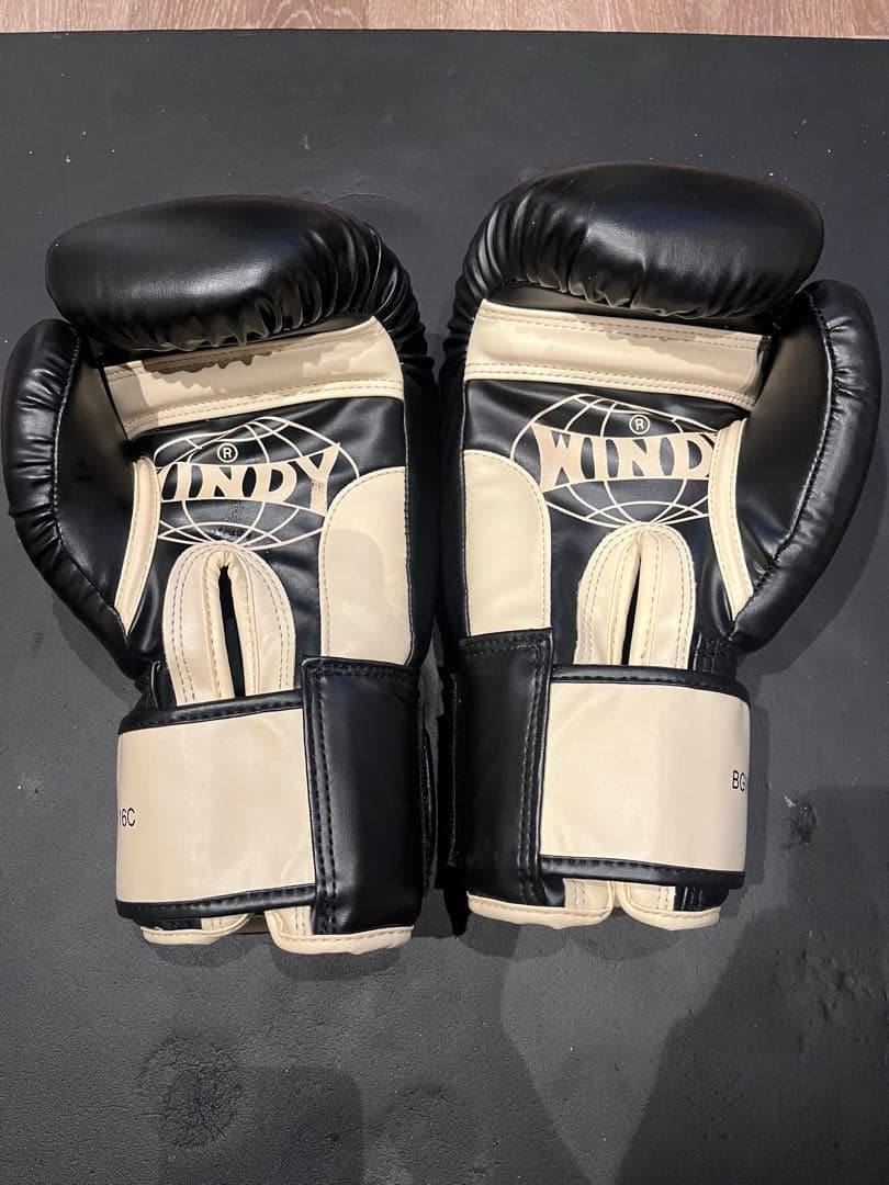 WINDY プロファイトギア & GLOBAL SPORTS グローブセット