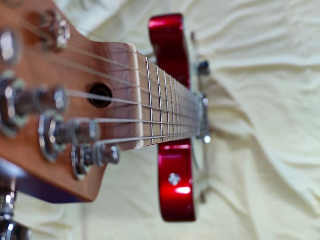 2ヶ月前に購入 新品同様Bacchus テレキャスター ギターケース シールド付