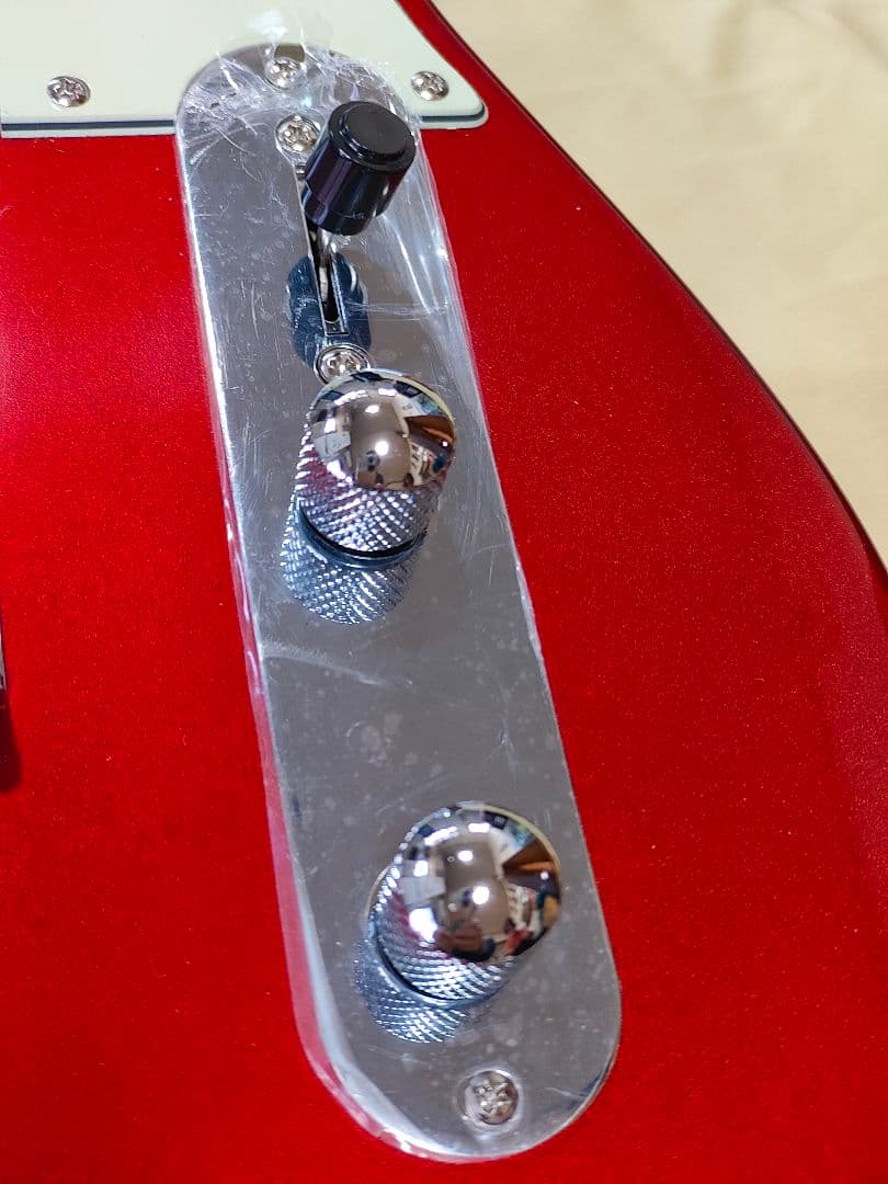 2ヶ月前に購入 新品同様Bacchus テレキャスター ギターケース シールド付