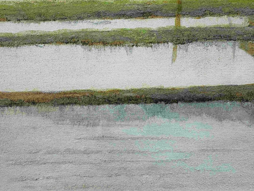 (A0004)青山忠行「雨情」