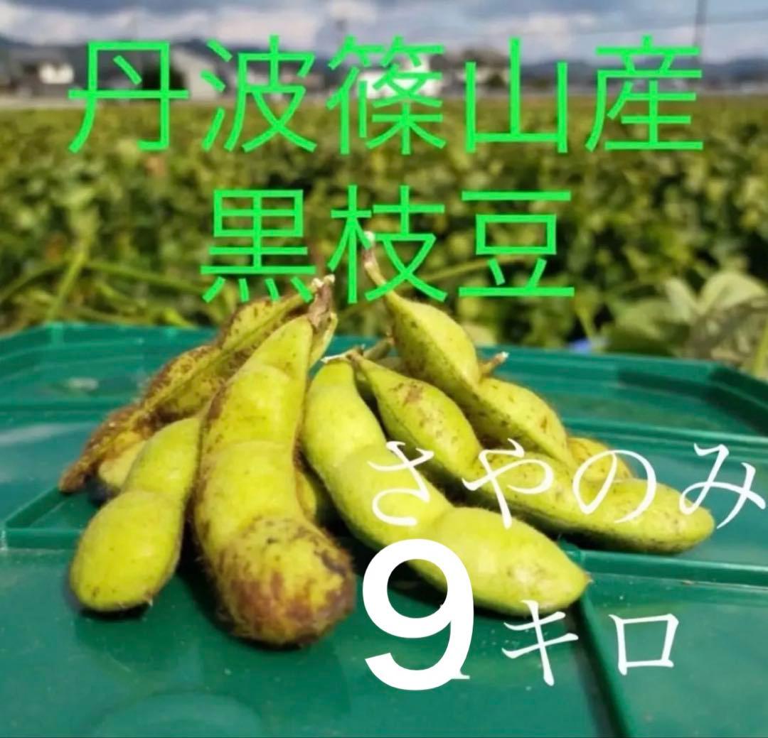 丹波篠山　黒枝豆　黒豆　枝豆　さやのみ　9キロ　丹波
