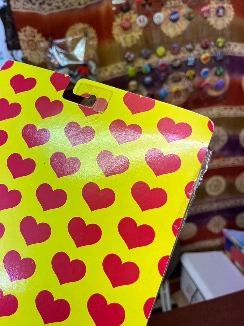 ミュージシャン hide Model MG-3800