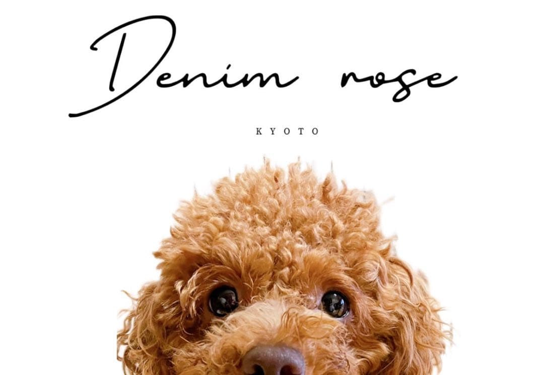 デニムローズ　ワッペンボアパンツ