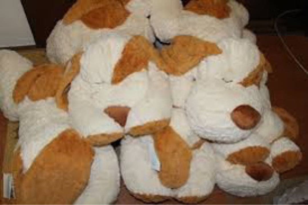 【新品未開封】ニトリぶち犬タロー大谷翔平さん愛用【残り2体匹】