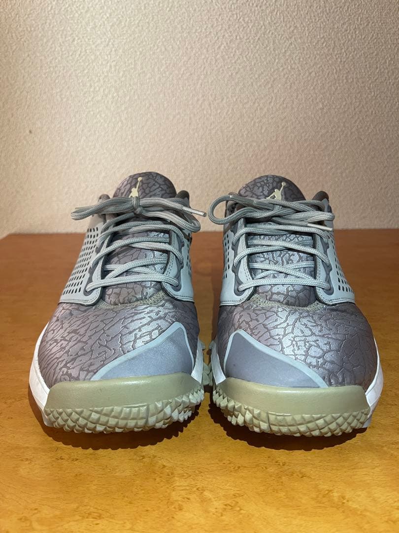 NIKE JORDAN TRAINER ゴルフシューズ グレー