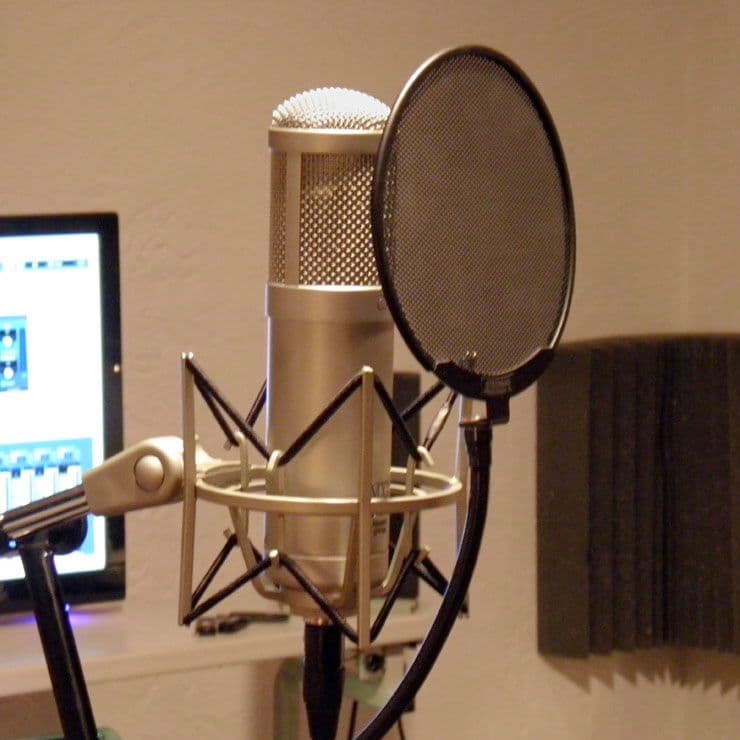 STEDMAN Proscreen XL グースネック付きメタルポッピングガード