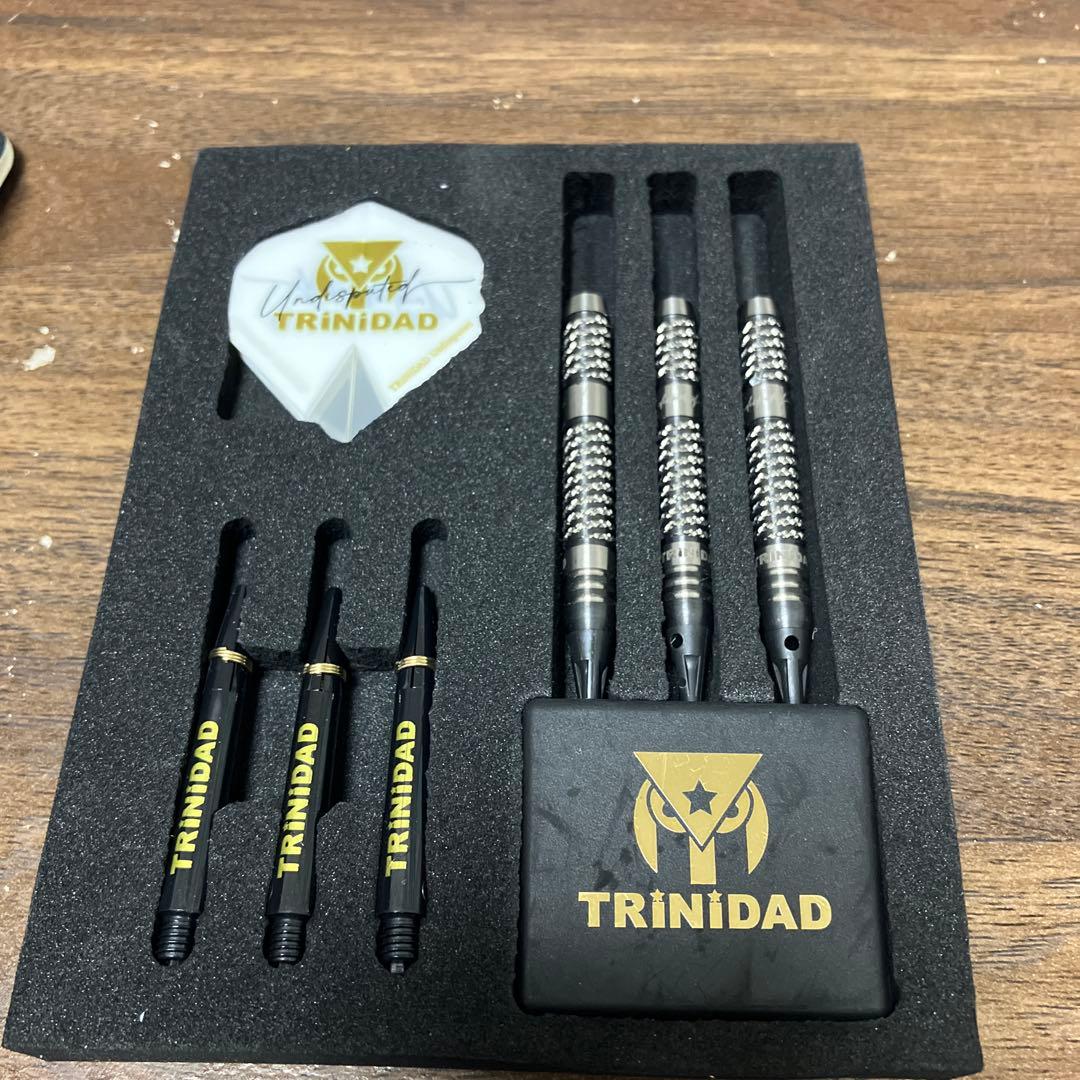 トリニダード リカルド タイプ2 浅田斉吾モデル エスダーツ限定モデル 2BA