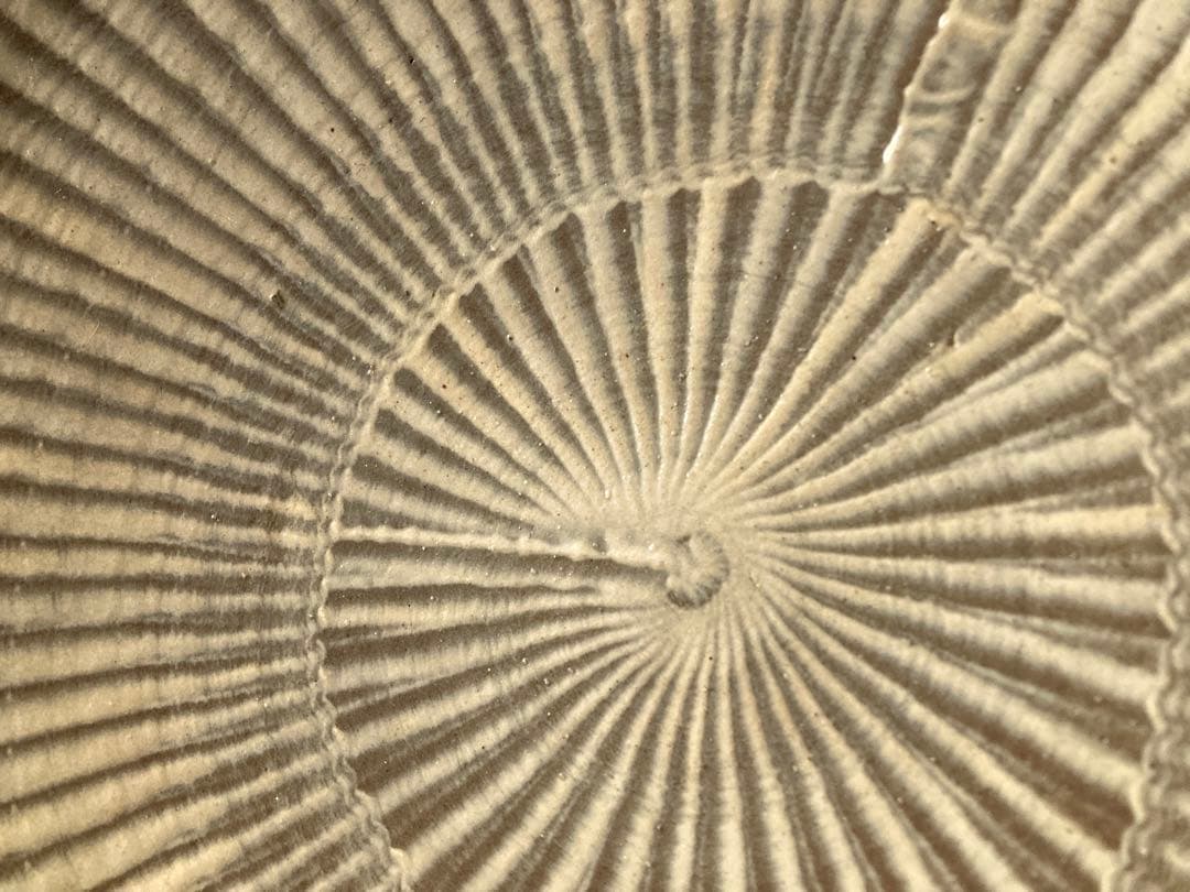 小鹿田焼　飛び鉋　大皿　民藝